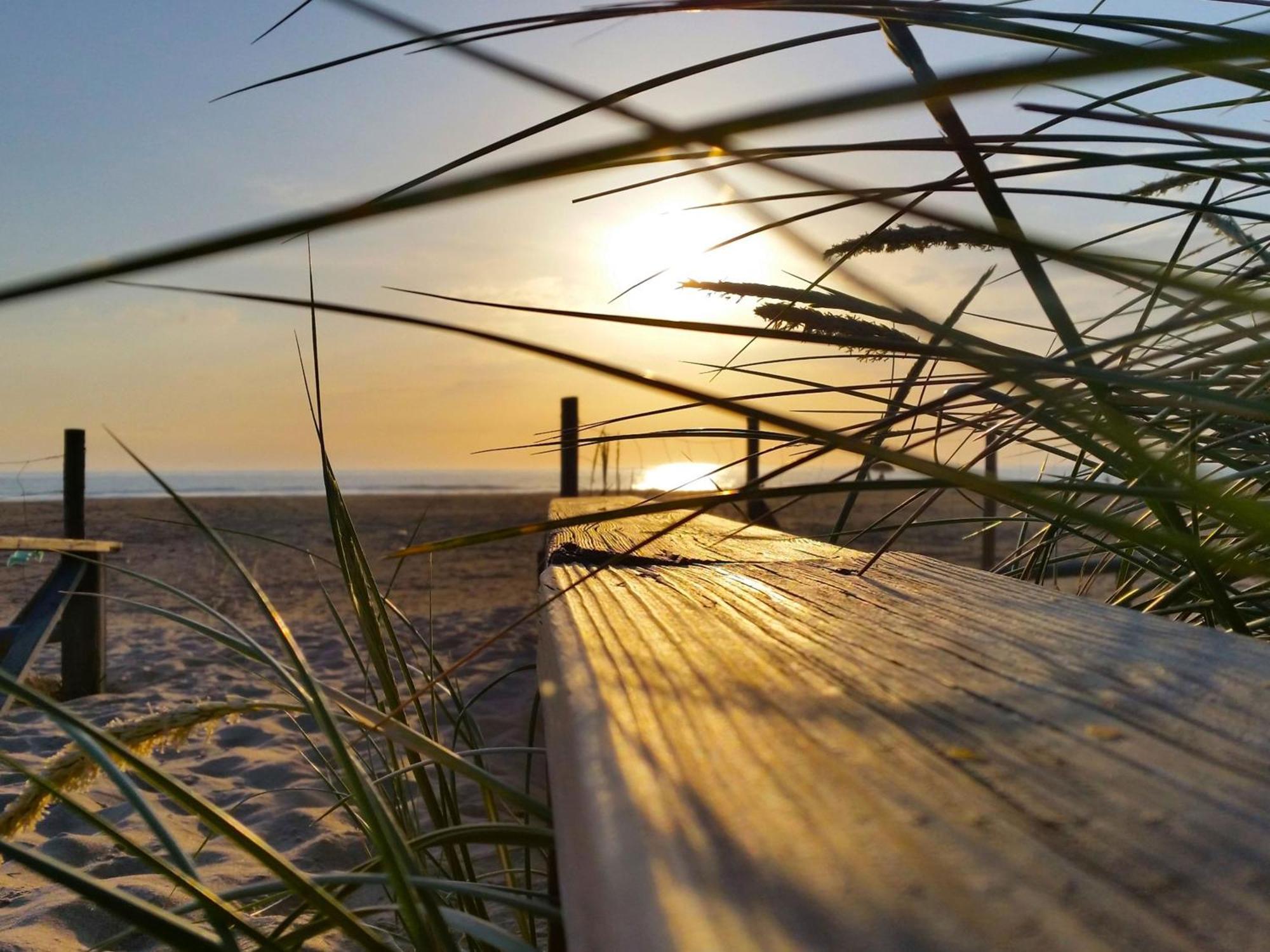 Apartamento Agoodplan Dehesa De El Palmar Cádiz Exterior foto